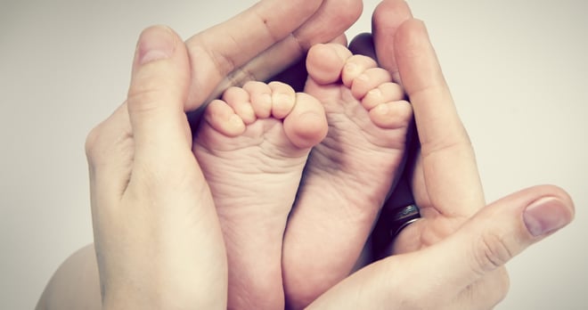 Babies feet in hands