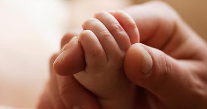 Baby's hand shown being held by a parent