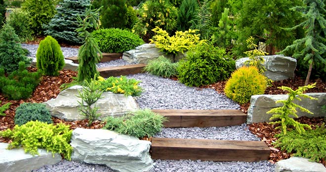 Landscaped garden