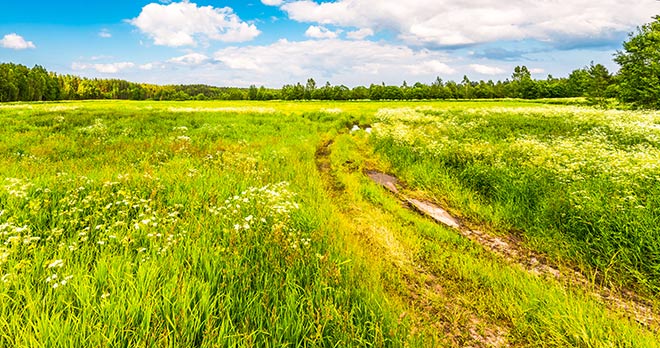 right of way over development land