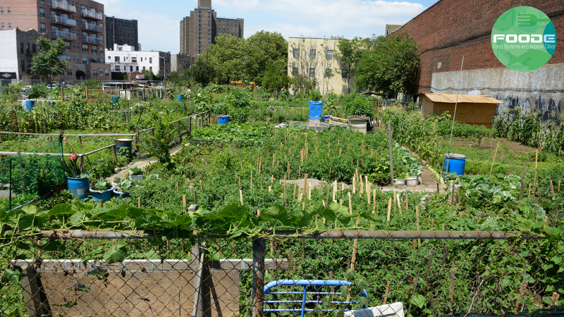 City Farm Systems - Inspiration - RWK Goodman - AOC Jan 22