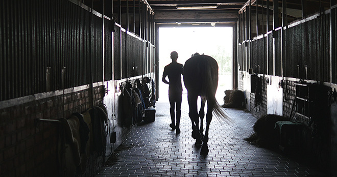 Silhouette of horse being led out of stables